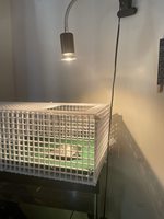Bombilla de Lámpara para Reptiles con Logotipo Personalizado OEM del Fabricante, Bombillas de Luz UV para Tortugas, Lámpara de Calentamiento para Anfibios y Lagartos