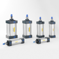 Cylindre pneumatique à Double Action haute température de remplacement Airtac Festo série Sc Dnc avec joint EU
