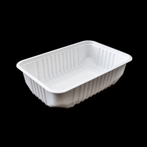 Biểu tượng tùy chỉnh dùng một lần khay nhựa vỉ quá trình PP Pet Chất liệu hình chữ nhật hình dạng cho bánh Sushi salad bánh pizza bán buôn - Product Image 2