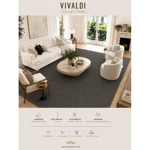 Petra Vivaldi 900095 Anthrazit Polypropylen Teppich 4 mm Florhöhe Haustierfreundlich Hochbelastbarer Teppich für Wohnzimmer Flur - Product Image 3