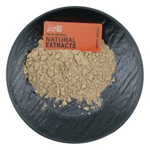 Extrait de racine de <span class=keywords><strong>kiwi</strong></span> naturel en poudre, fourni par le fabricant - Product Image 4