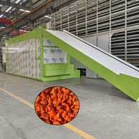 Continue droogmachine voor gedroogd fruit met gaasband, abrikozen droogmachine, gedroogde abrikozen gaasbanddroger