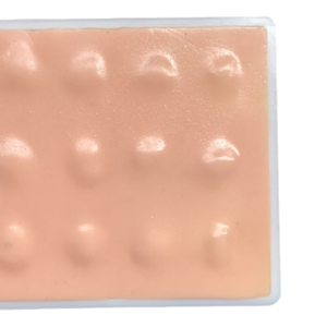 Modèle de Guideligne d'Évaluation Anatomique ADA Medical Science pour l'Exérèse des Points de Saignement Hémostatiques et des Cystes Sébacés - Product Image 5