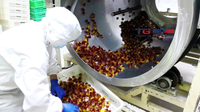 Nouvelle ligne de production de bonbons gélifiés industriels TGmachine TG400S, machine de fabrication de bonbons gélifiés à haute efficacité, 150-600 kg/h