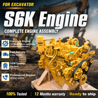 Ensemble moteur S6K 3066 S6KT complet pour excavatrice Caterpillar 3066 320C 320DL, moteur testé à 100 %, garantie de 12 mois