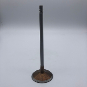 วาล์วไอดีวาล์วเครื่องยนต์ร้อนวาล์วไอเสียสำหรับ N52 BMW <span class=keywords><strong>N52B30</strong></span> 3.0L N52B25 2.5L 11347553771 11347553772 11347539919 11347553774 - Product Image 5