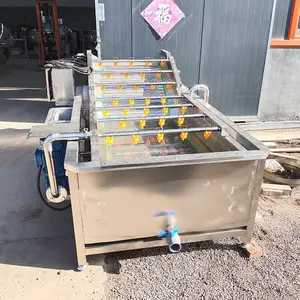 뜨거운 판매 거품 유형 초음파 잎 야채 세탁기