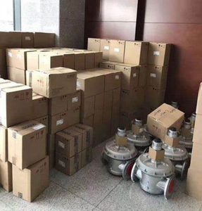 Nouveau solénoïde de sécurité monophasé MVD210/5 Dungs MV/4, MVD, MVD/5, MVDLE/5 - Product Image 5