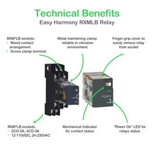Relé Intermedio RXM2LB2BD Miniatura Enchufable - Harmony RXM2L 2 C/O 24 V 5 A con LED - Product Image 3