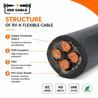 Noyau RV-K flexible de la classe 5 N2XY 4 + 1 de cuivre avec la terre 4x16 + 10mm2 puissance XLPE câble PVC gaine extérieure fil de construction Eescable
