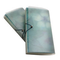 A5 A6 portefeuille organiseur de coupons en plastique Mini classeur extensible pour cartes