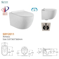 WC suspendu SADYI de style européen, cuvette de toilette murale en céramique blanche pour salle de bain