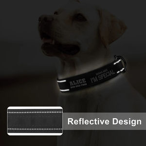 Individuelles Hundehalsband mit reflektierendem Streifen, personalisierter Name, Telefonnummer, Haustierhalsbänder für mittelgroße und große Hunde, Halsband für Jagdhunde - Product Image 5