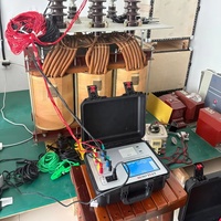 Professional Portable High Accuracy Transformer Turns Ratio Tester IP65 Protection 1 Year Warranty Electrical for Instrument