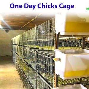 Jaula de Cría para Pollos de Engorde, Jaulas para Cría de Aves de Corral, Jaulas para Pollitas, Capacidad para 90-320 Aves, Material de Acero Galvanizado - Product Image 5