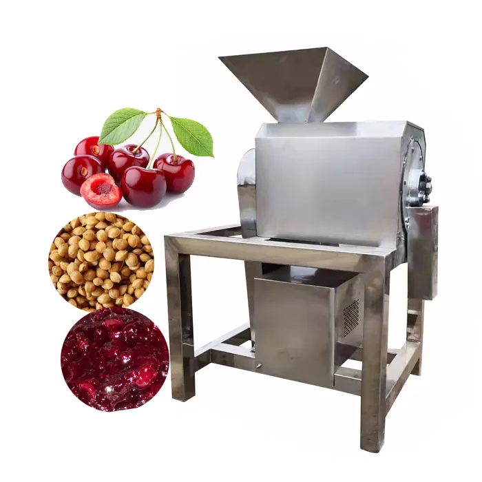 पेशेवर बड़ी क्षमता मशीन बनाने फलों के गूदे लाल bayberry चेरी coring pulping मशीन