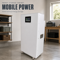 ShanKi Y6 Blanc Vertical En Stock 48V 314Ah LiFePO4 16KWH Boîtier de Batterie DIY en Métal Système de Stockage Solaire Résidentiel