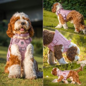 Pembe s-boyutu ayarlanabilir köpekler için yelek tasma no-çekme hizmeti köpek dişli kanca döngü panelleri ile yürüyüş batonu eğitim için - Product Image 6