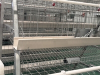 Nouveau système d'alimentation automatique pour cages à poules en batterie, en acier galvanisé, gain de place, équipement avicole moderne, direct usine