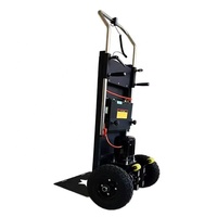 Wendy Factory Supply 400Kg Capacité de charge Camion à main Chenille Type de roue Plate-forme en acier Escalier Machine pour usage domestique OEM