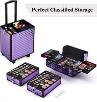 Chariot de maquillage professionnel en aluminium, valise à cosmétiques, chariot pour esthéticienne, artiste, voyage, boîte à bijoux cosmétique