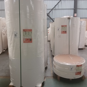 High Quality Food Grade PE Coated <b>Paper</b> Cup Bottom Roll Custom GSM <b>Biodegradable</b> Cup Base <b>Paper</b> - Product Image 6