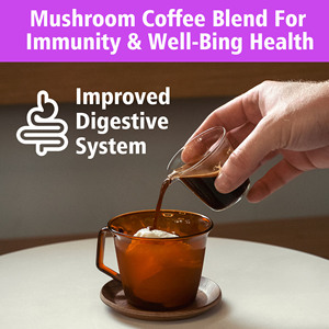 Polvo de Hongo OEM ODM con Refuerzo Inmunológico, Estimulante Cerebral, Claridad Mental y Enfoque Mejorado, Energía Aumentada, Sistema Digestivo Mejorado - Product Image 6