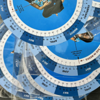 EM Calculatrice de grossesse ronde médicale personnalisée Date d'échéance Roue de grossesse Disque de recherche de dates Règles en plastique