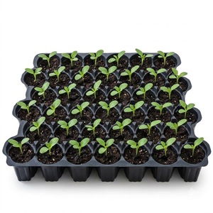 Bandeja de cultivo de plástico resistente Ref. 49, bandeja de plástico negra para plántulas, bandeja de propagación de vivero con celdas redondas profundas para germinación de semillas - Product Image 4