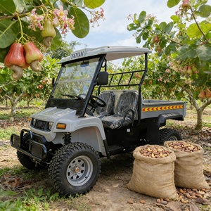 Camionnette électrique de bonne qualité à 2 places pour le transport de marchandises et la livraison de colis - Product Image 4