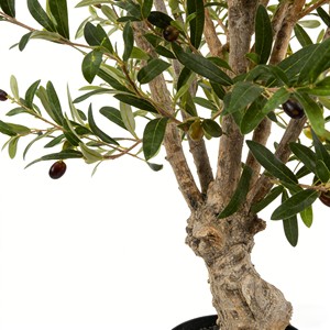 Venta al por Mayor de Fábrica: Árboles de Olivo Artificiales Ecológicos - Decoración Duradera para Interiores/Exteriores - Product Image 4