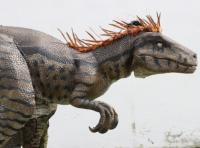 Costume de dinosaure réaliste personnalisé, Velociraptor poilu avec pattes apparentes, pour adultes, utilisation intérieure/extérieure, parcs d'aventure