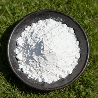 Hydroxyde de calcium en poudre de haute pureté (95 %) – Chaux hydratée et chaux calcinée pour additifs chimiques