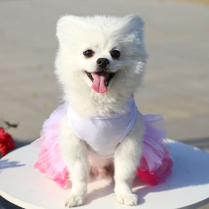 Cute Cotton Dog Dress for Small to Medium Dogs - Princess Outfit in  Multiple Sizes, Eco-Friendly and Stylish