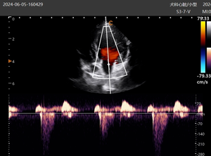Échographe cardiaque EURVET 4D portable pour usage vétérinaire, <span class=keywords><strong>échographie</strong></span> couleur, radiologie cardiovasculaire, <span class=keywords><strong>échographie</strong></span> <span class=keywords><strong>interne</strong></span> - Product Image 3