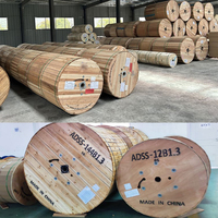 ADSS Cable Autosoportada Monomode G652d 6 48 Hilos 24 12 Thread Aerial Singlemode Cable De Fibra Adss Fiber Optic Cable Roll