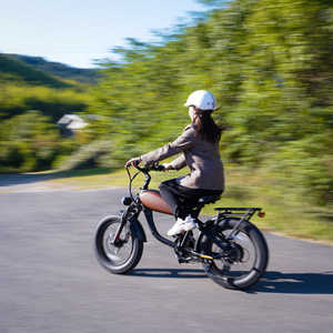 20 pouces step over mini rétro vélos de sport électriques <span class=keywords><strong>VTT</strong></span> ebike gros pneu vélo électrique <span class=keywords><strong>750</strong></span> watt - Product Image 4