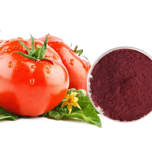 Extracto de hierbas de tomates de alta calidad, suplemento dietético de licopeno <span class=keywords><strong>en</strong></span> <span class=keywords><strong>polvo</strong></span>, potente nutriente para las personas - Product Image 2