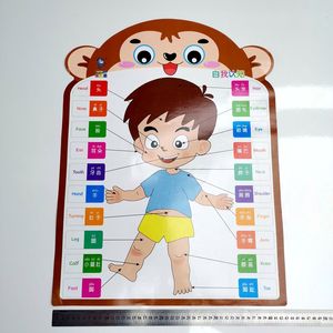 Pósteres Educativos con Forma de Oso LELEYU para Niños en Edad Preescolar, Gráfico de Aprendizaje para el Aula de Jardín de Infancia - Product Image 3