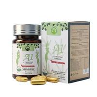 Capsules minceur OEM L-Carnitine, extrait multi-herbes Lepidium Garcinia, coupe-faim, stimule l'oxydation des graisses, complément alimentaire pour la perte de poids