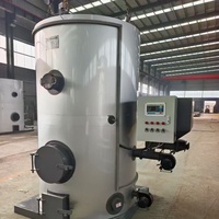 Generator Uap Biomassa Otomatis Tekanan Rendah Tipe Tabung Api Vertikal LHG 0.1-3t/jam Bersertifikasi CE EAC