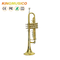 Bb Trumpet Brass Body with Gold Lacquer Finish | Stainless Steel Valves, 120mm Bell | Student & Band Trumpet OEM Factory Supply