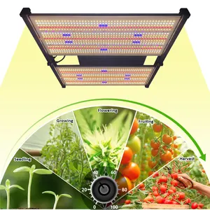 Us stock daisy kette pflanze vollspektrum innen garten hydro ponik lm301b 480w led wachsen licht volles spektrum