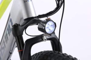 Xe đạp điện địa hình, xe đạp điện thành phố, xe đạp điện bánh béo có logo tùy chỉnh 48V 16Ah 1000W - Product Image 4