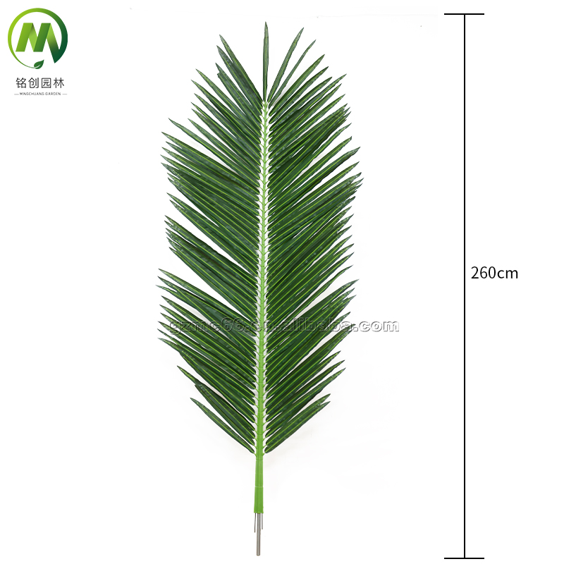 260 cm