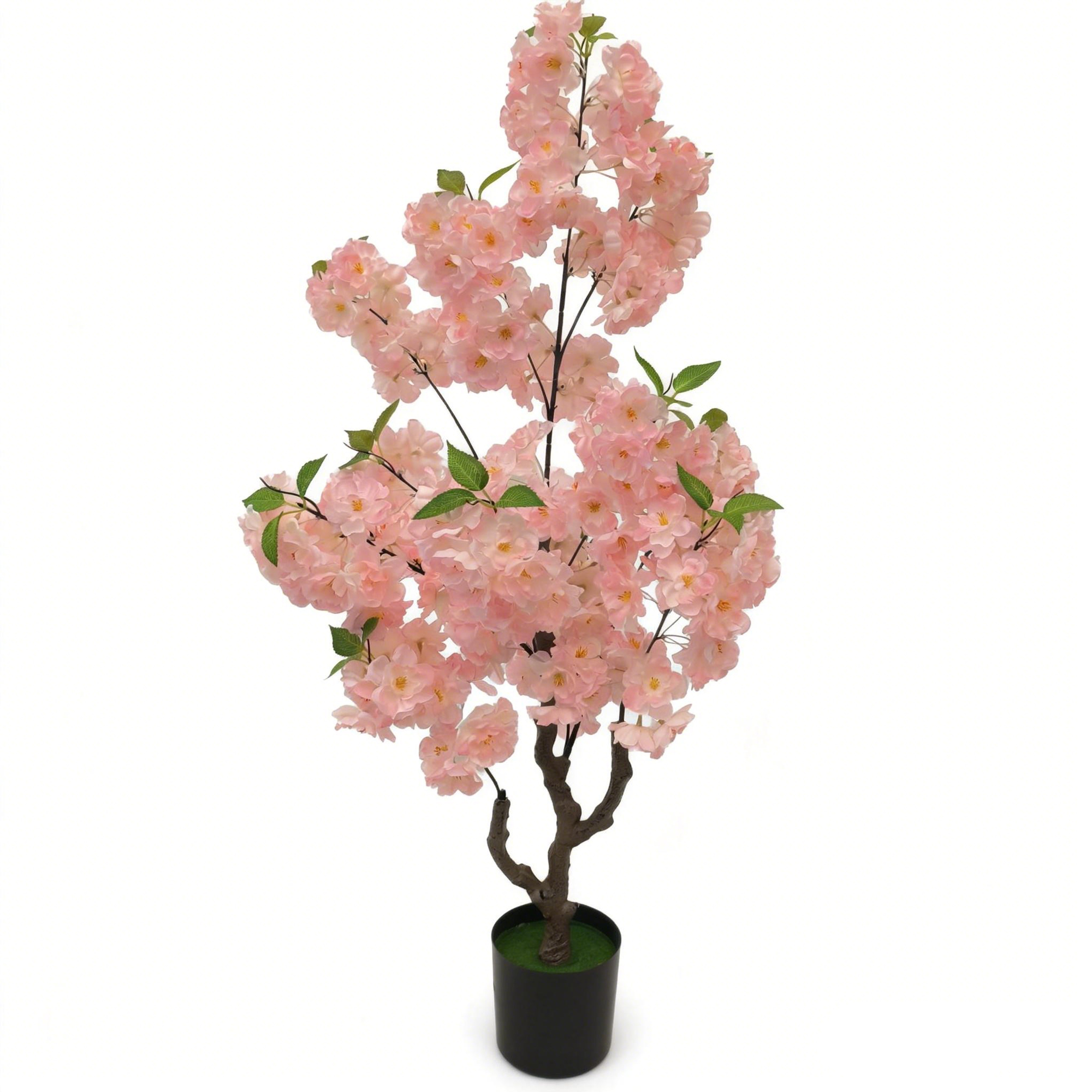 Rose moyen naturel