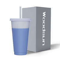 Gobelets réutilisables en plastique avec paille