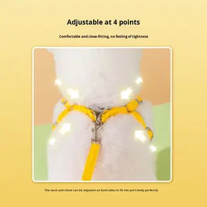 शरद ऋतु सर्दियों की बनियान शैली गर्म छोटे पिल्ला बिचोन छाती का उपयोग बिल्ली कुत्ते की चेन चलना कुत्ते की लश - Product Image 5