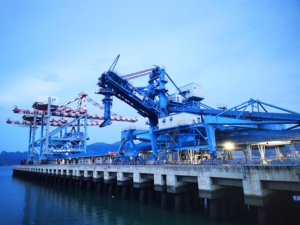 Dịch Vụ Chuỗi Cung Ứng Toàn Cầu CCIC Tại Trung Quốc - Product Image 4