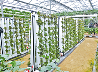Solutions de jardinage hydroponique à système Zip, non polluantes, fournies par l'usine